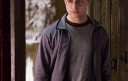 Ab Donnerstag endlich wieder als Harry Potter auf der Kino-Leinwand zu sehen: Daniel Radcliffe.
FOTO: PR