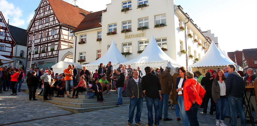Trochtelfingen-Stadtfest13 (JPG)