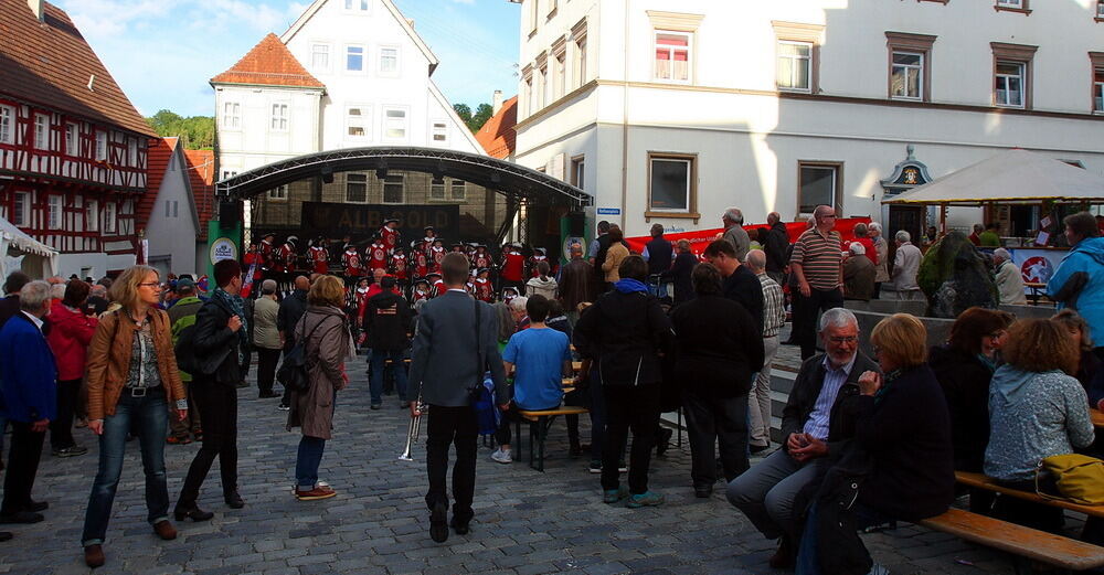 Trochtelfingen-Stadtfest21 (JPG)