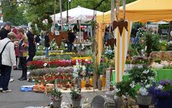 FOTO: Anna-Lena Jaensch