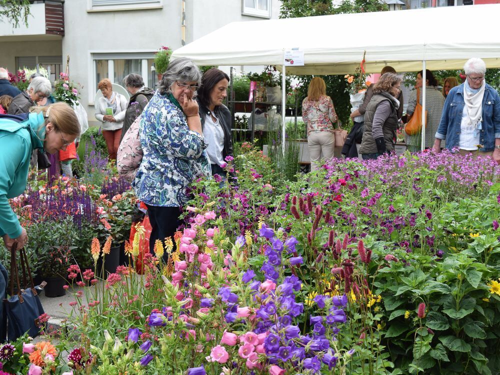 FOTO: Anna-Lena Jaensch