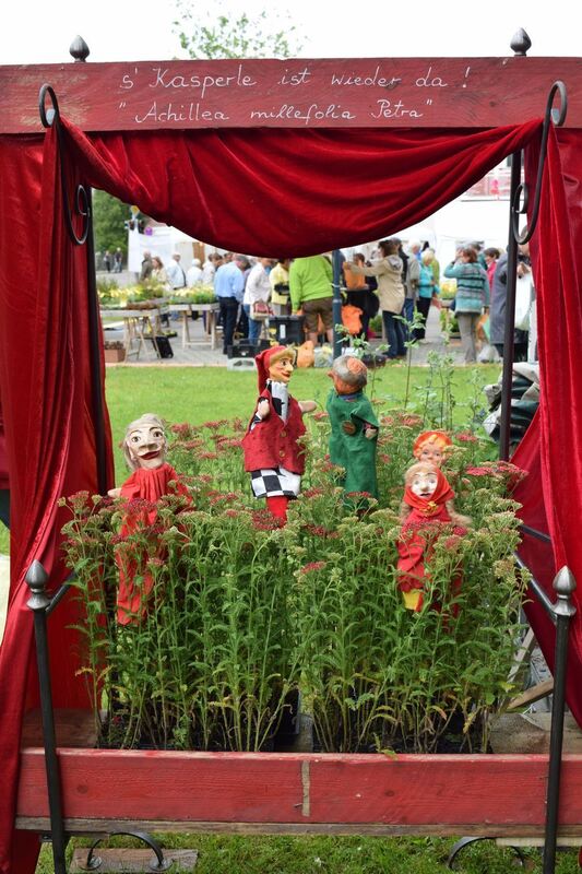 FOTO: Anna-Lena Jaensch