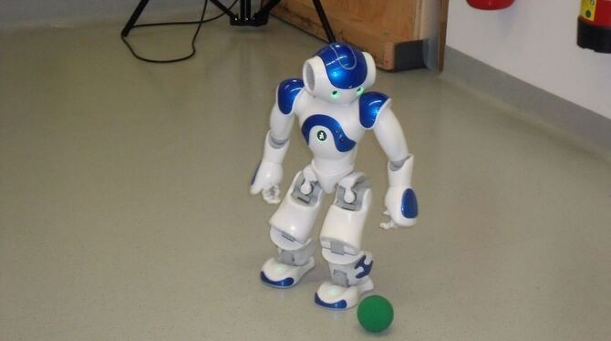 Roboter Nao kann Fußball spielen. FOTO: JASCHKE