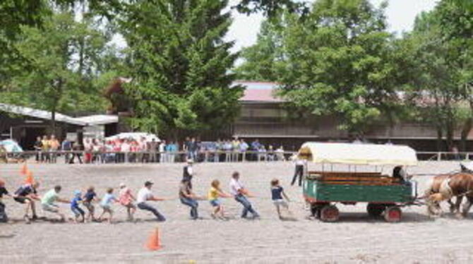 Mannstärke gegen Pferdestärke: Lustiges Tauziehen mit der Pferdekutsche am Sonntag beim Jubiläum der Reiterkameradschaft Pfullin