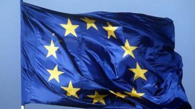 Es geht um Europa.
FOTO: DPA