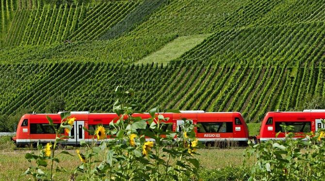 Sonnenblumen, Weinberge und mittendrin die Ermstalbahn. Der Kreis Reutlingen stellt sicher, dass sie bis Ende 2019 weiterfahren kann. Danach ist die Finanzierung offen.