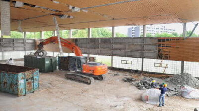 Kraftvoll, aber feinfühlig: Facharbeiter nehmen mit schwerem Gerät die Carl-Diem-Halle »sortenrein« auseinander. Bis