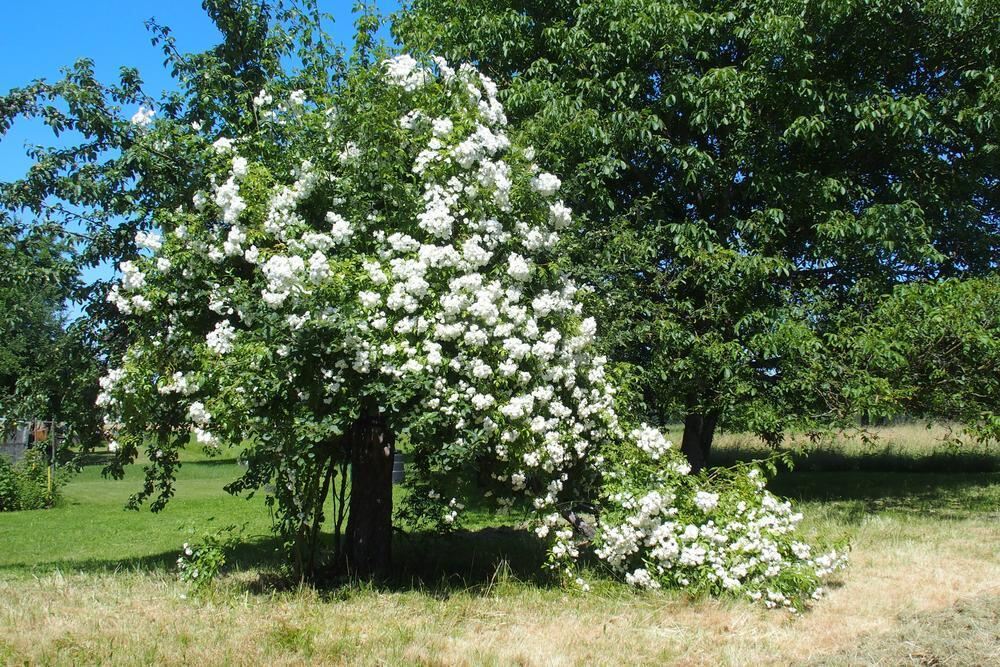 Naturfotos unserer Leser 2016