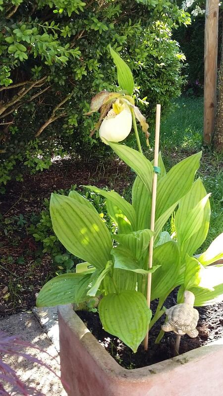 Naturfotos unserer Leser 2016