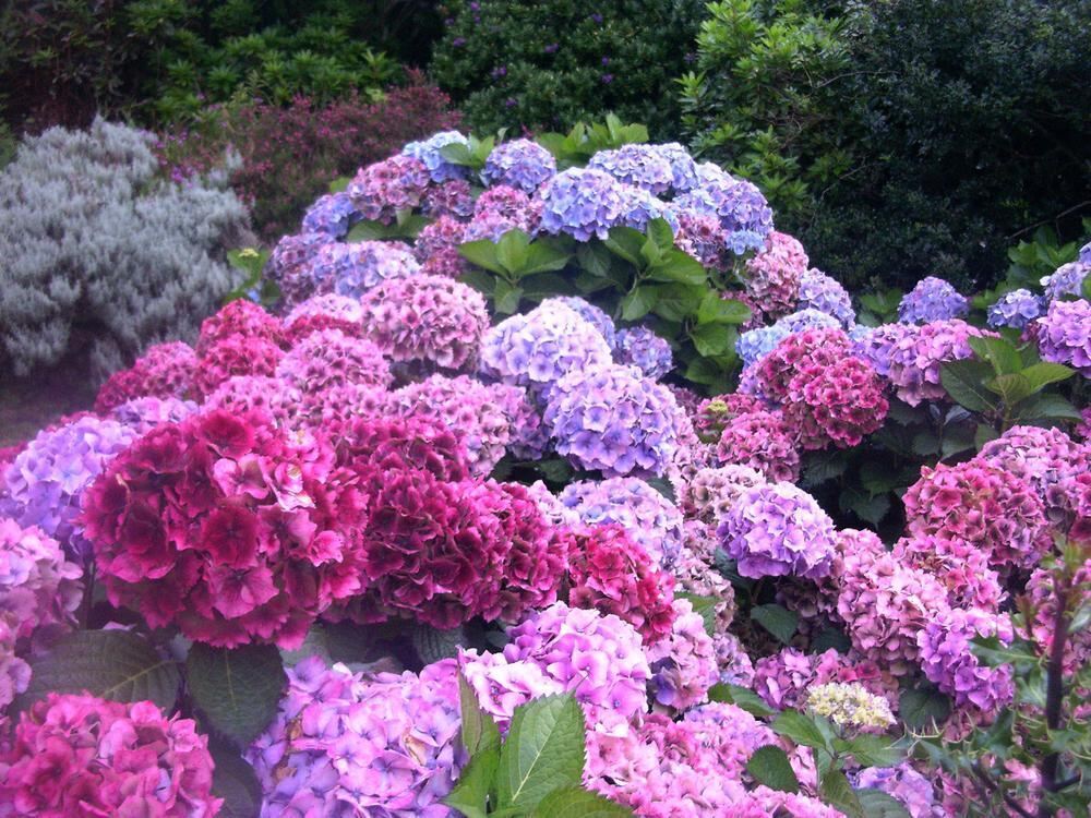 Naturfotos unserer Leser 2016