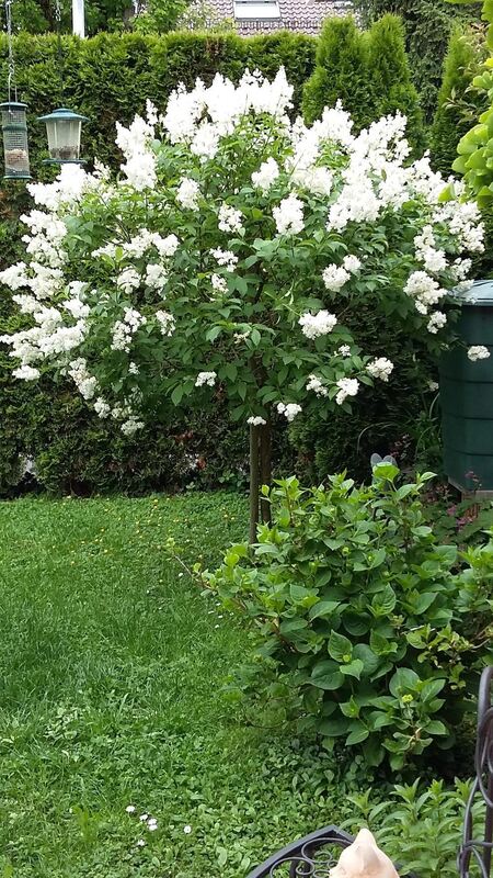 Naturfotos unserer Leser 2016