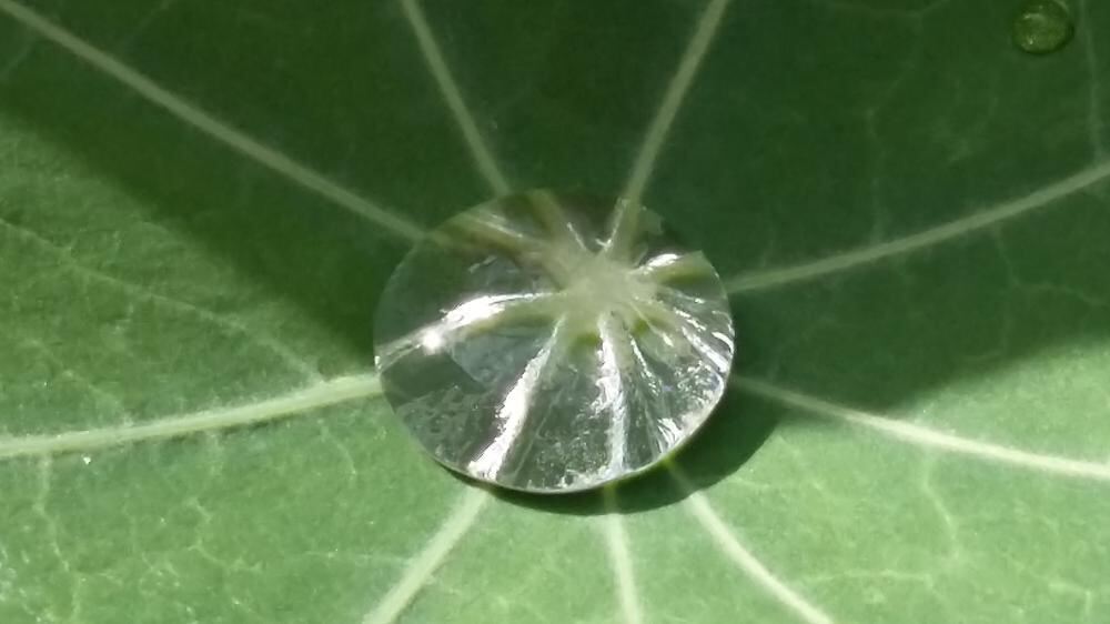 Naturfotos unserer Leser 2016