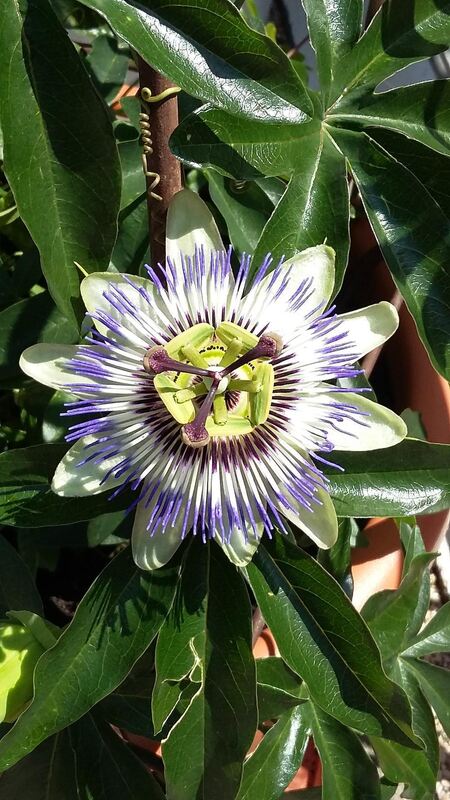 Naturfotos unserer Leser 2016