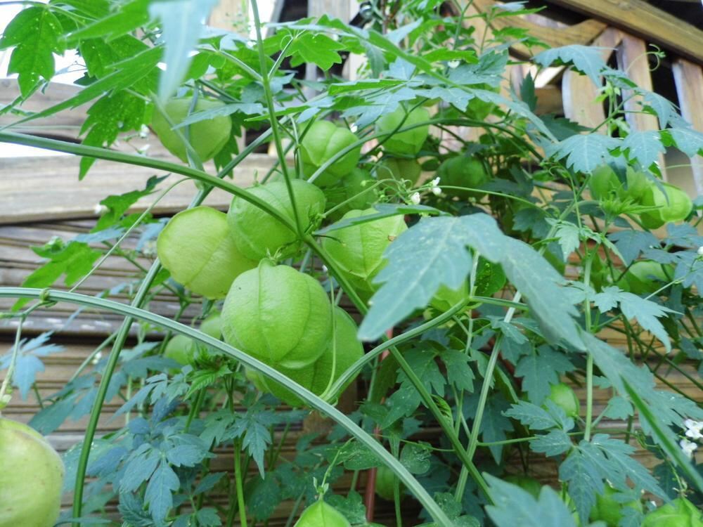 Naturfotos unserer Leser 2016