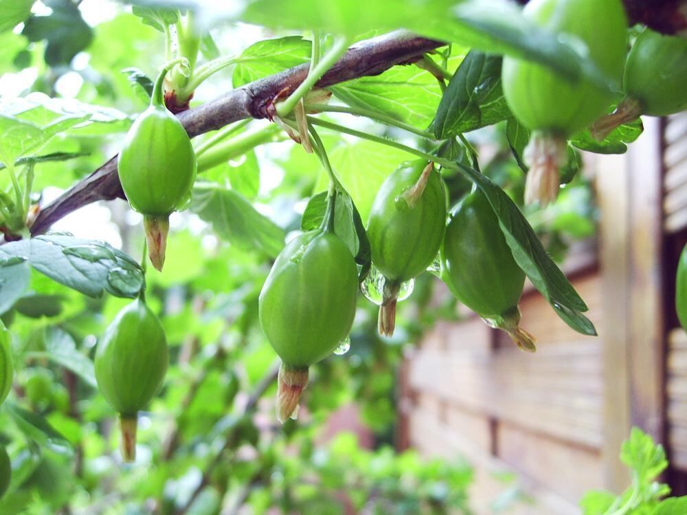 Naturfotos unserer Leser 2016