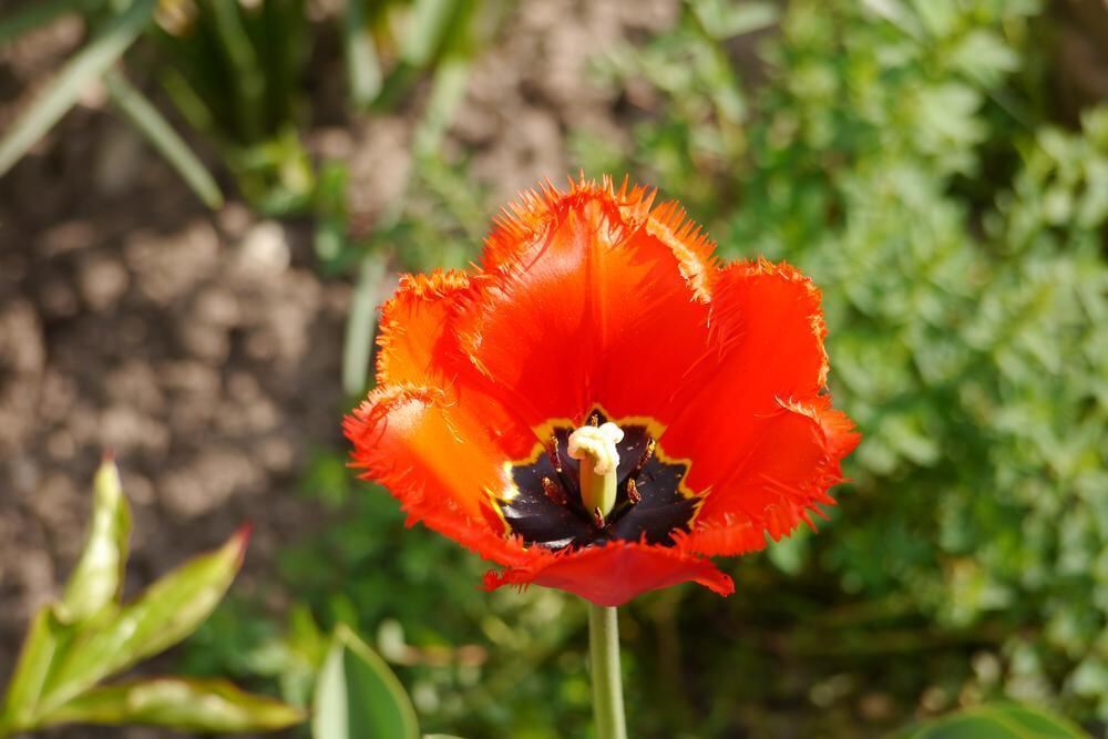 Naturfotos unserer Leser 2016