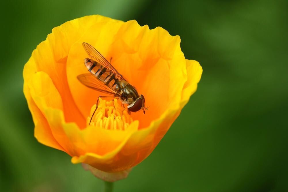 Naturfotos unserer Leser 2016