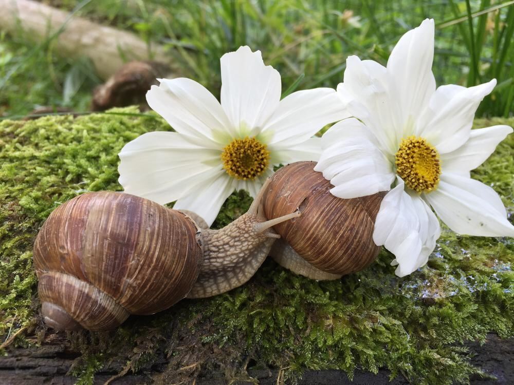 Naturfotos unserer Leser 2016