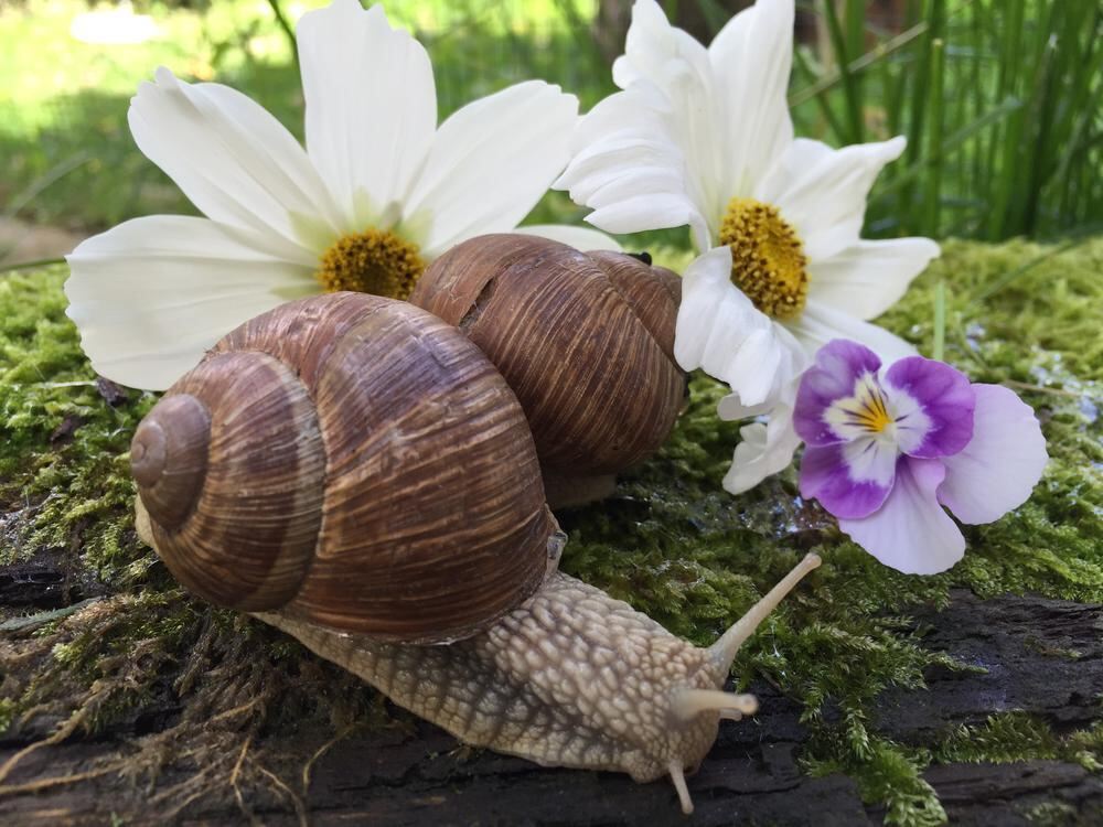 Naturfotos unserer Leser 2016