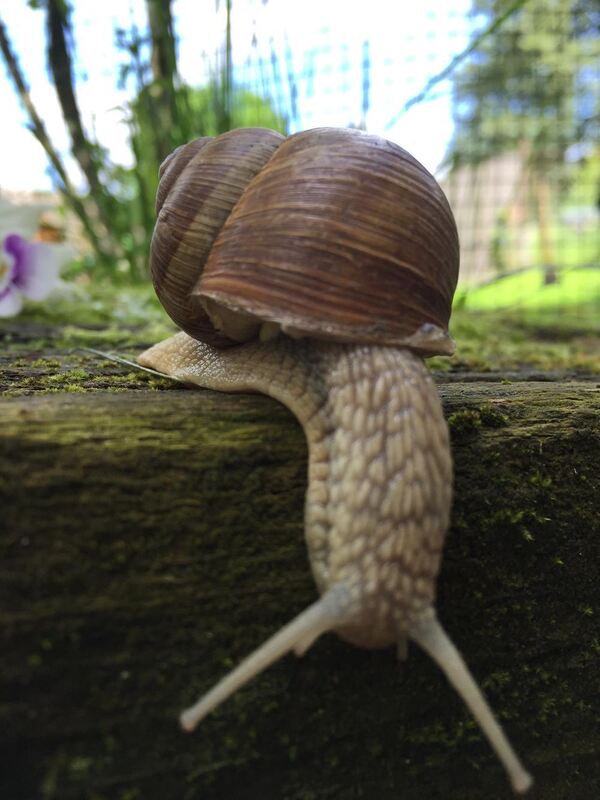 Naturfotos unserer Leser 2016