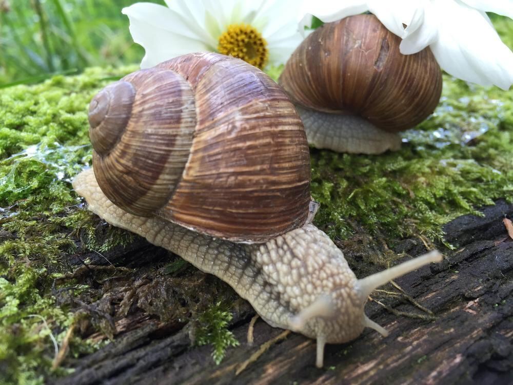 Naturfotos unserer Leser 2016