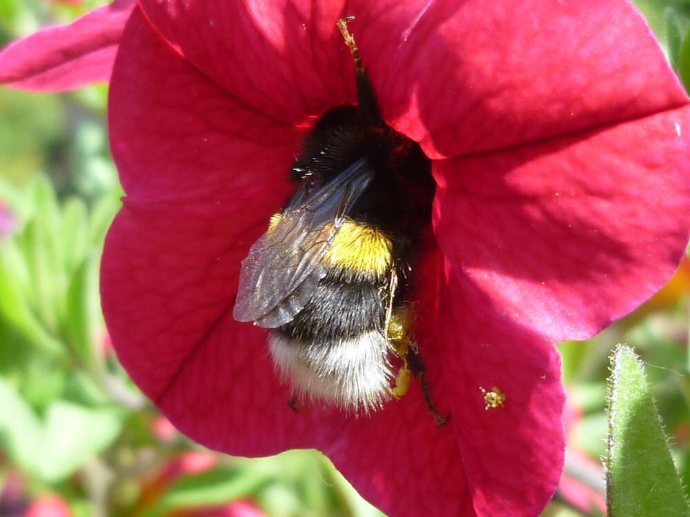 Naturfotos unserer Leser 2016