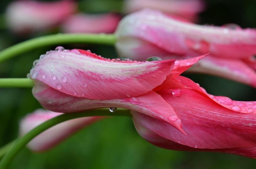 Naturfotos unserer Leser 2016