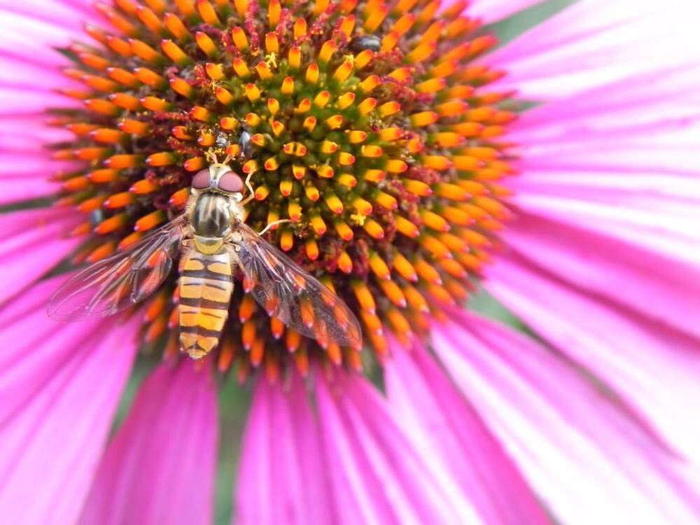 Naturfotos unserer Leser 2016