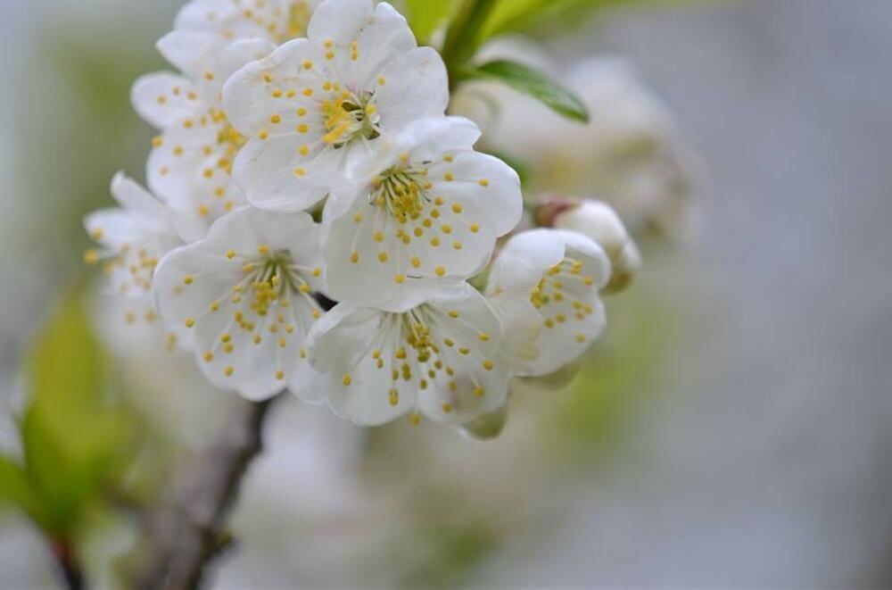 Naturfotos unserer Leser 2016