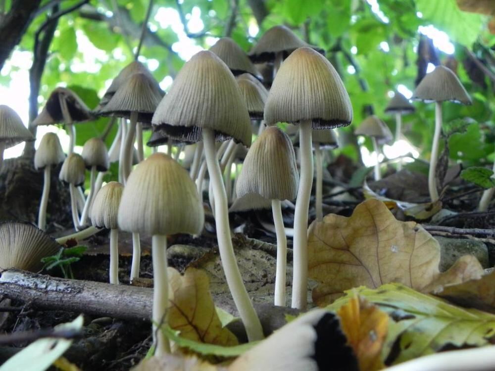 Naturfotos unserer Leser 2016