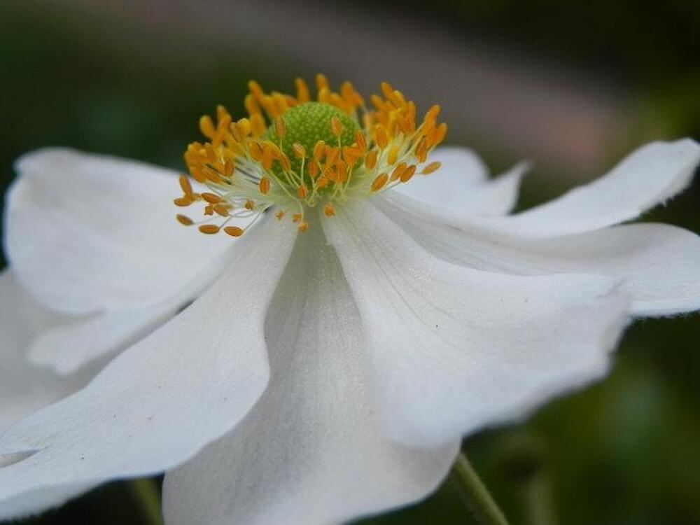 Naturfotos unserer Leser 2016