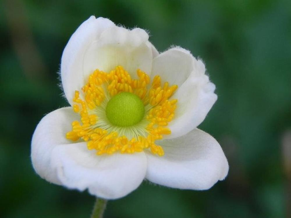 Naturfotos unserer Leser 2016