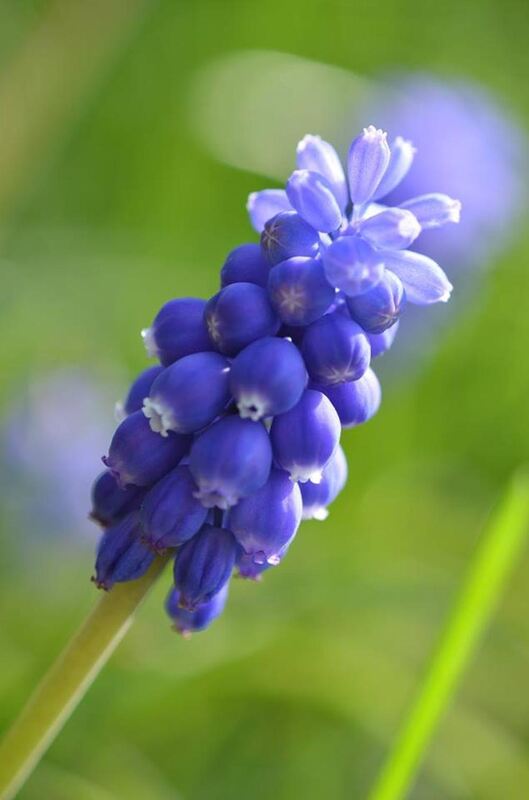 Naturfotos unserer Leser 2016