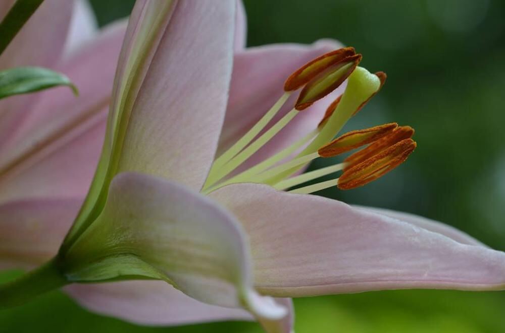 Naturfotos unserer Leser 2016