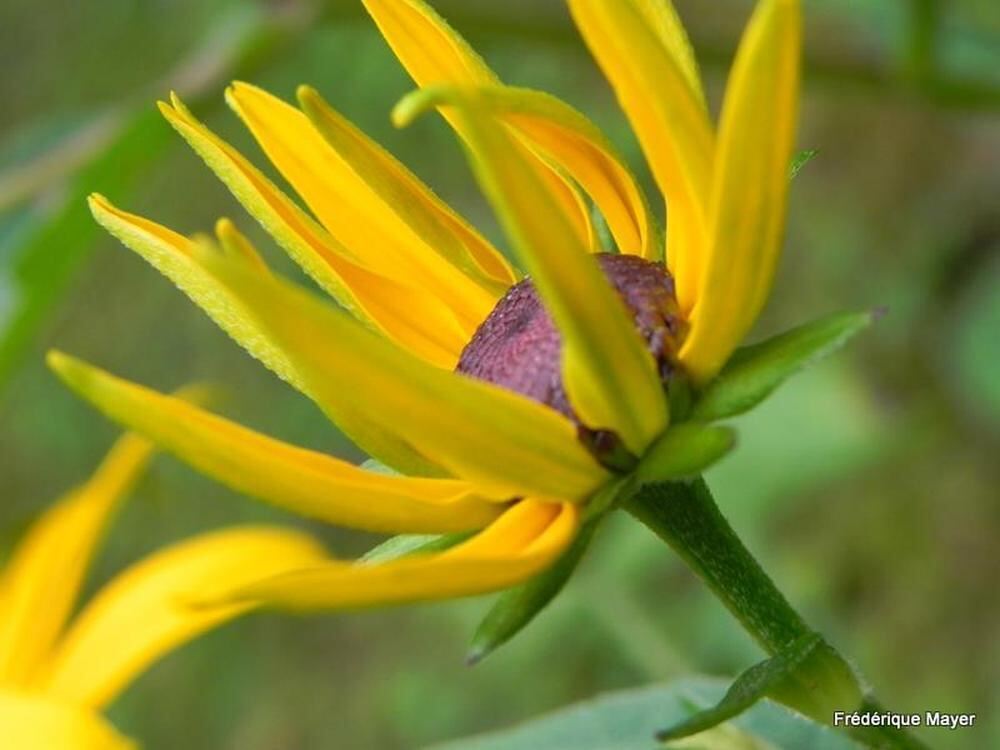 Naturfotos unserer Leser 2016
