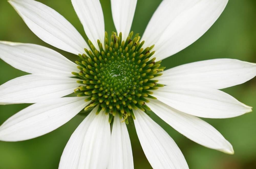 Naturfotos unserer Leser 2016