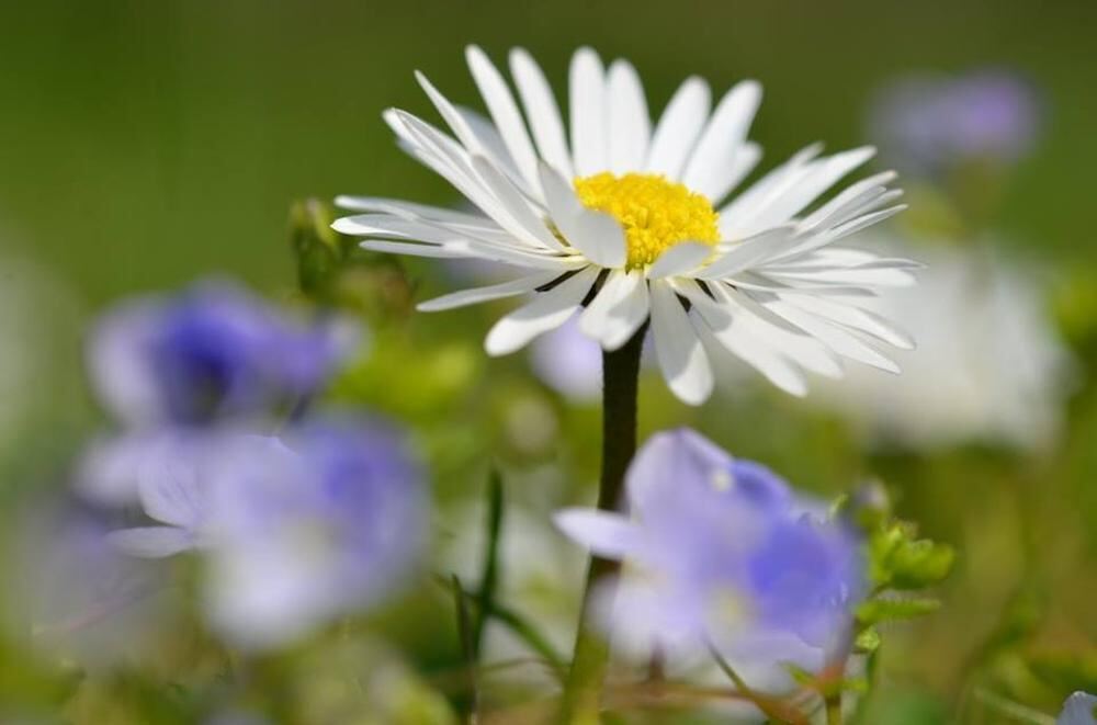 Naturfotos unserer Leser 2016