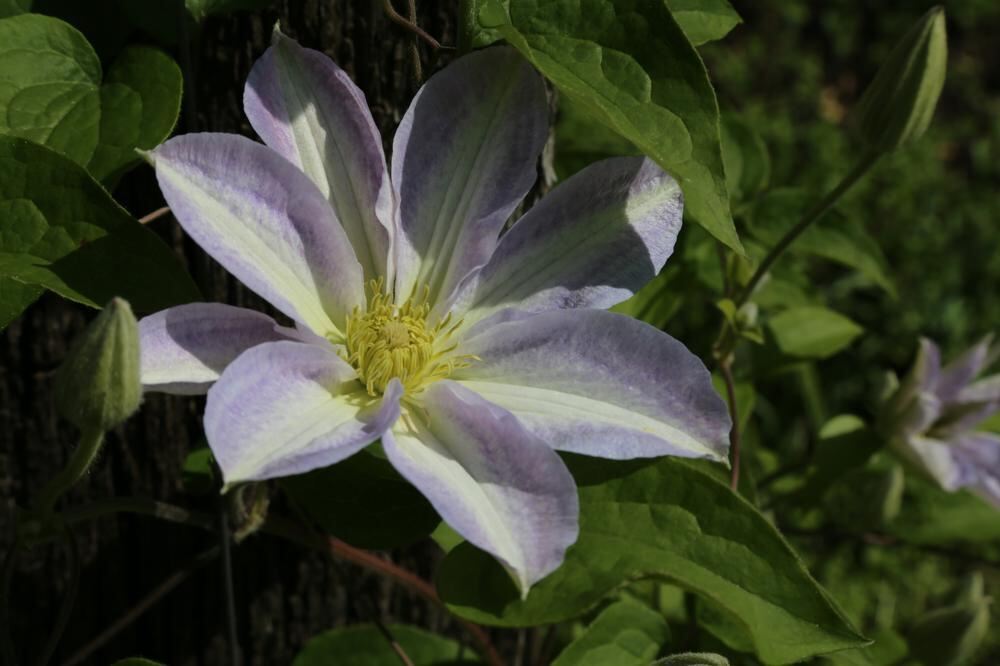 Naturfotos unserer Leser 2016