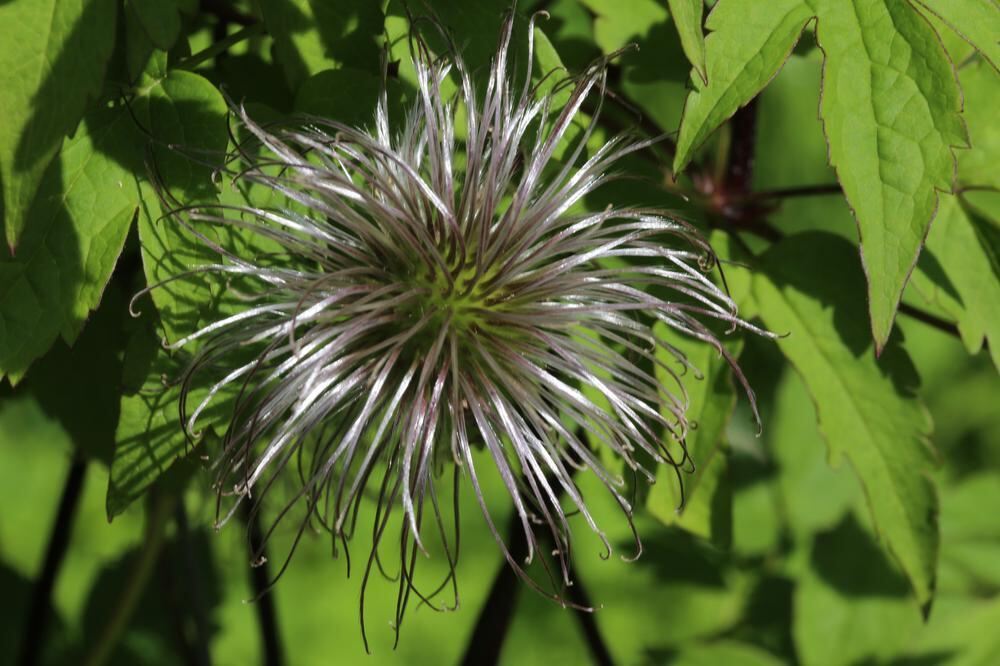 Naturfotos unserer Leser 2016