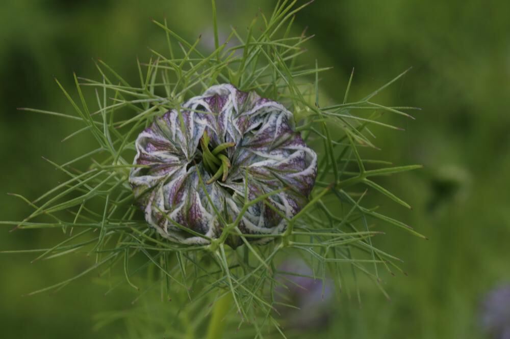 Naturfotos unserer Leser 2016