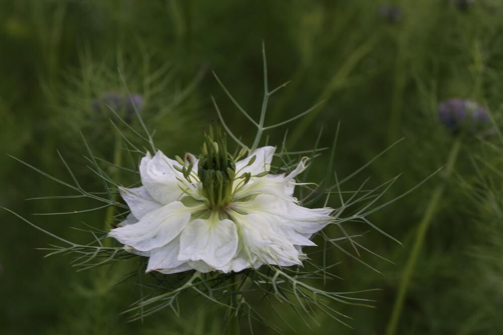 Naturfotos unserer Leser 2016