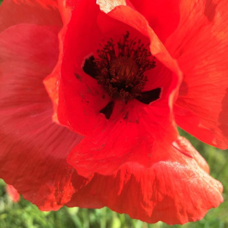 Naturfotos unserer Leser 2016