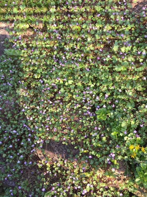 Naturfotos unserer Leser 2016