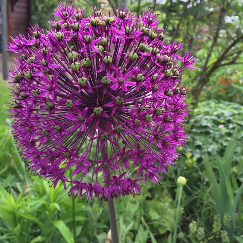 Naturfotos unserer Leser 2016