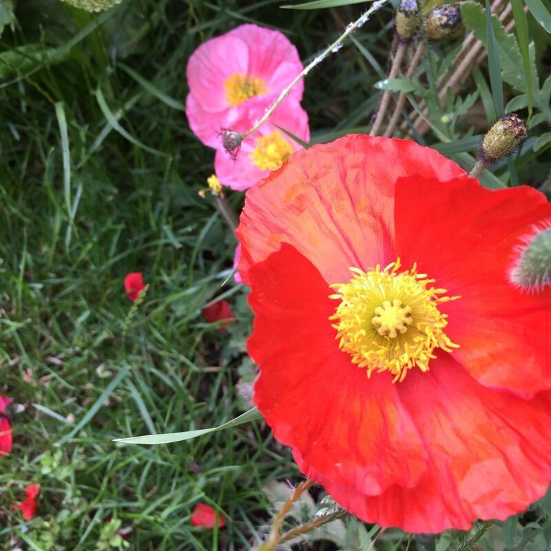 Naturfotos unserer Leser 2016