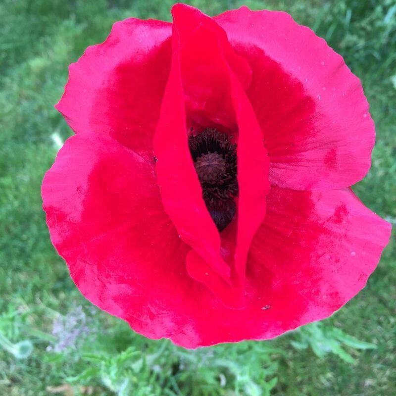 Naturfotos unserer Leser 2016