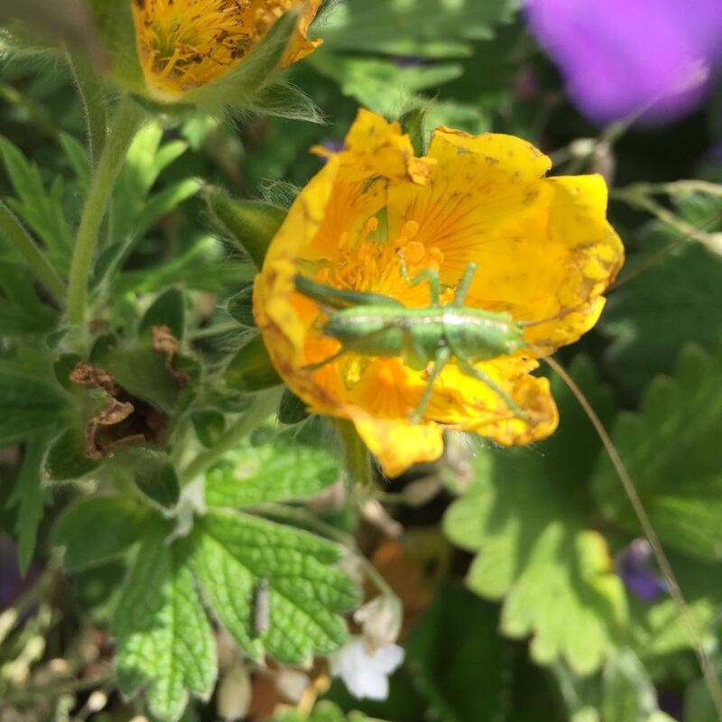 Naturfotos unserer Leser 2016