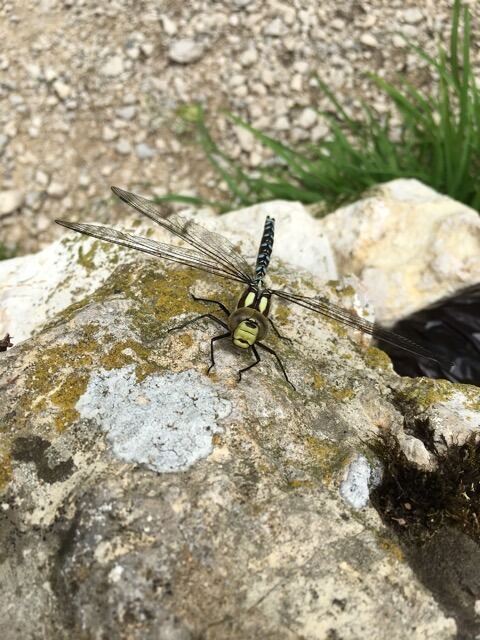 Naturfotos unserer Leser 2016