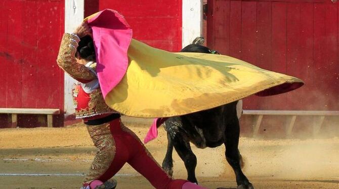 Der später getötete Stierkämpfer Victor Barrio beim ersten seiner Kämpfe bei der Feria del Angel im spanischen Teruel. Foto: Der später getötete Stierkämpfer Victor Barrio beim ersten seiner Kämpfe bei der Feria del Angel im spanischen Teruel. Foto: