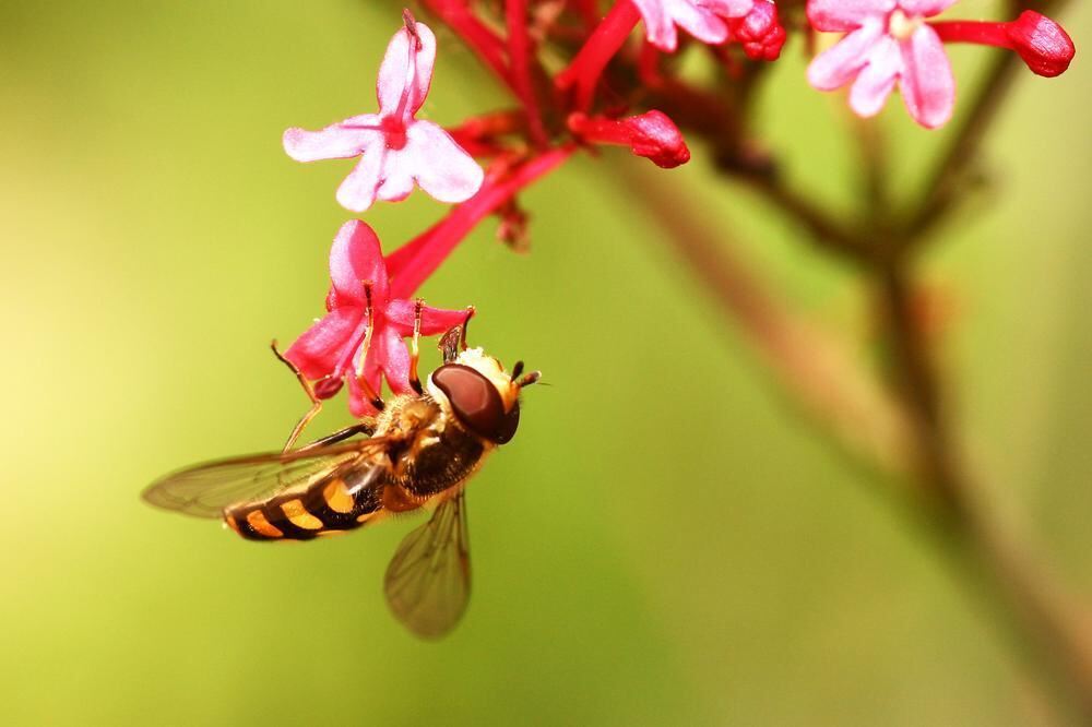 Naturfotos unserer Leser 2016